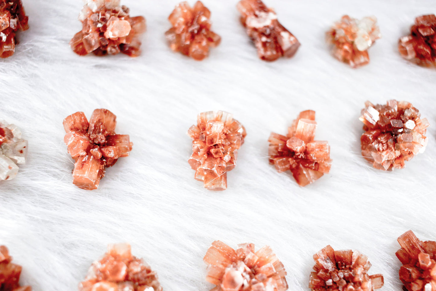 Aragonite Natural Rough Stones | ONE Raw Aragonite | Peachy Specimen Natural Rough Healing Stones | Grounding Stabilizing Capricorn Rocks