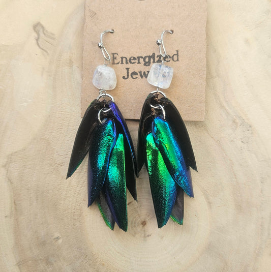 Rainbow Moonstone Jewel Beetle Earrings